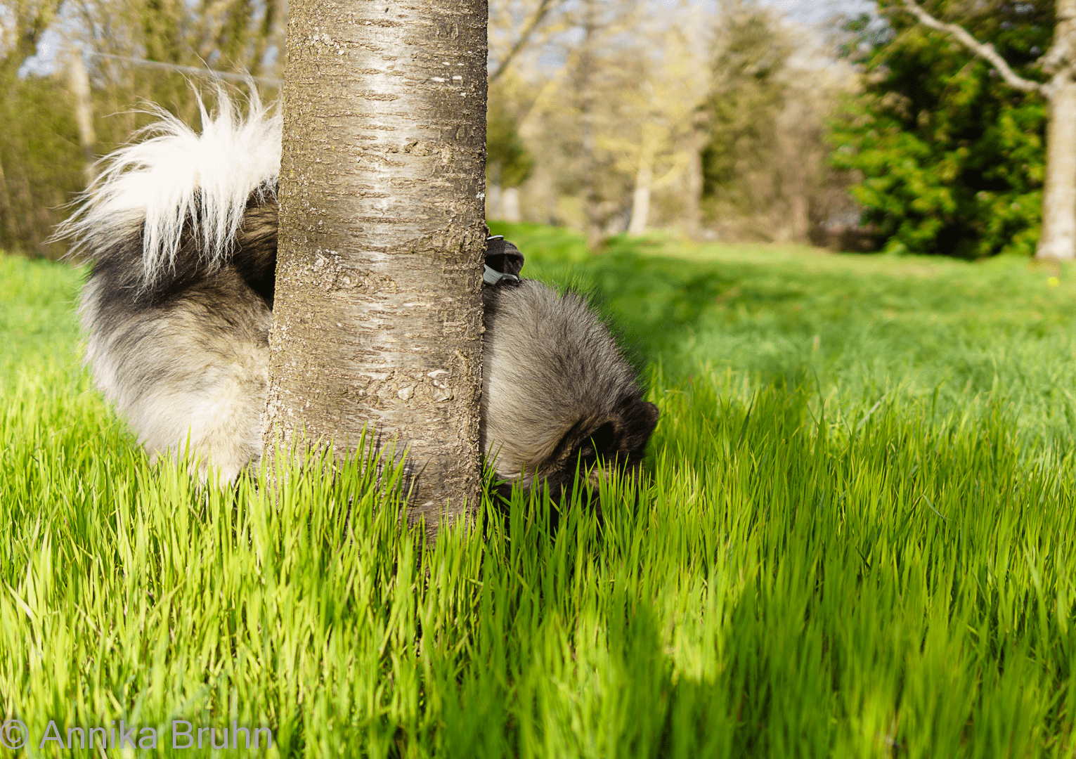 ich verstecke mich!